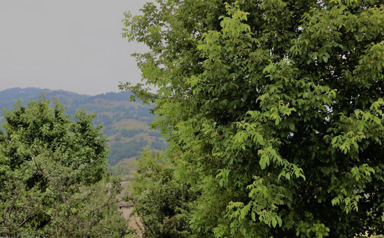 Dilijan Family House Villa Exterior photo